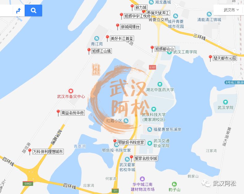 白沙洲新楼盘排行榜2020,白沙洲最火盘