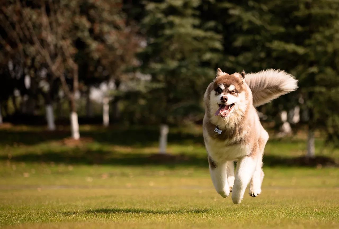 特别的萌给特别的你