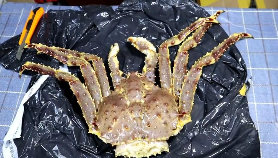 直播卖帝王蟹,山东直播买帝王蟹