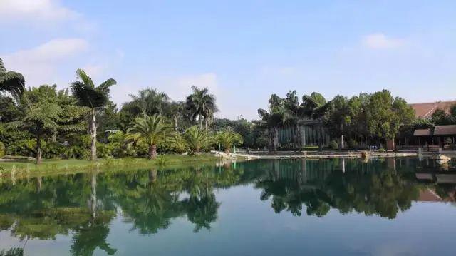 浜戝崡瀹夊畞娓╂硥灏忛晣,浜戝崡鏌娓╂硥灏忛晣