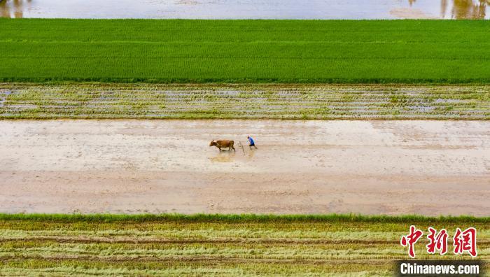 从日本拖拉机产量看我国一些省区的发展差距