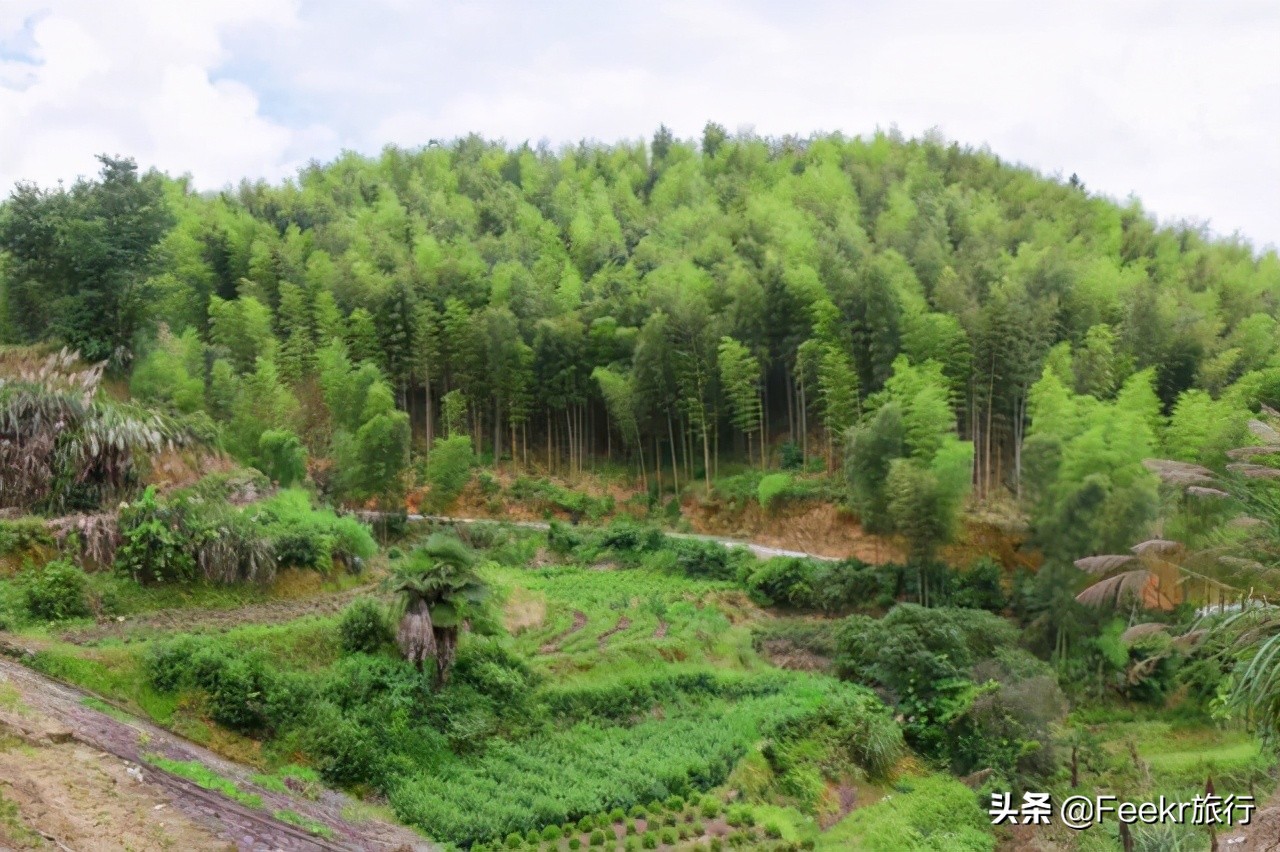 杭州自驾露营三日游,杭州三日游自驾最佳方案