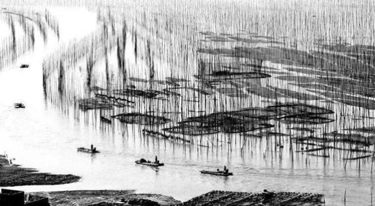 霞浦滩涂光影摄影作品,霞浦摄影风光