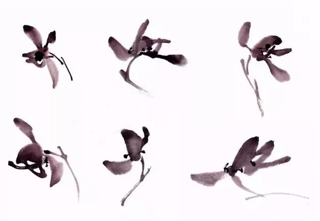 兰花绘画技法教程视频,泰国兰花绘画技法