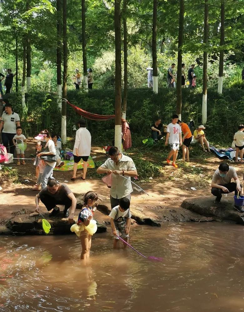 重庆55个景点免费游玩有哪些,重庆五一自驾游1天最佳路线