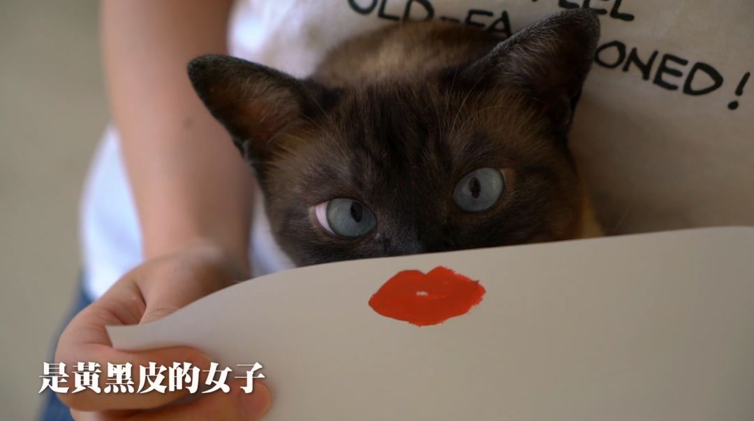 救命！土到窒息的口红色号测评，请病假必买