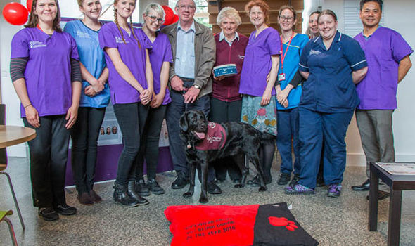 血槽已空下一句,血槽已空