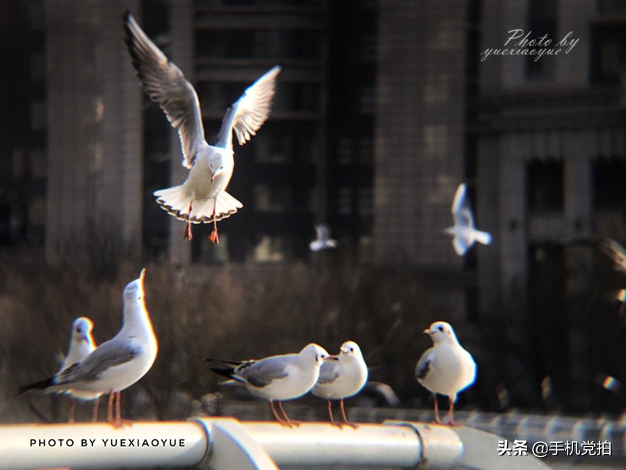 拍物体光线技巧,手机如何拍光线轨迹