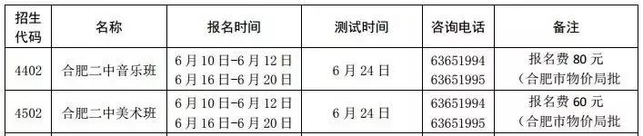 合肥二中艺术班怎么样,合肥二中音乐特长生报考要求