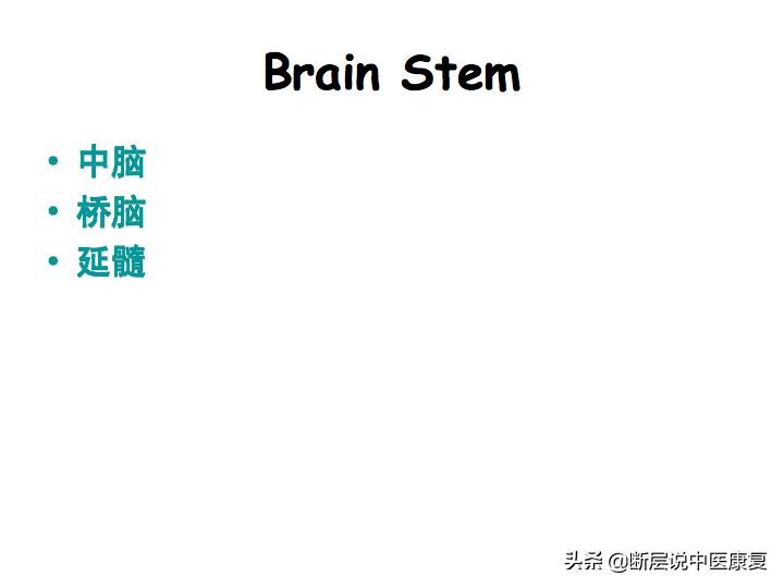 中枢神经系统断层解剖讲解,中枢神经3d解剖动画