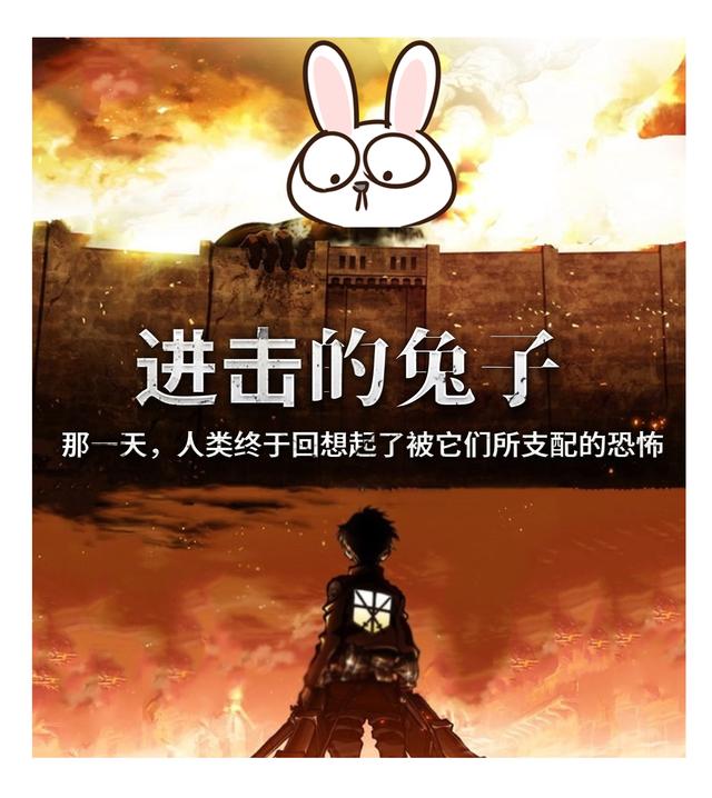 四川人此生最大的疑惑，兔子为啥能把澳大利亚人逼疯（菲李漫画）