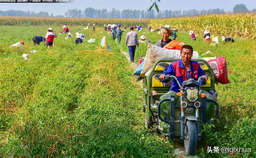 低速电动三轮车和老年代步车区别,对于电动三轮车的整治