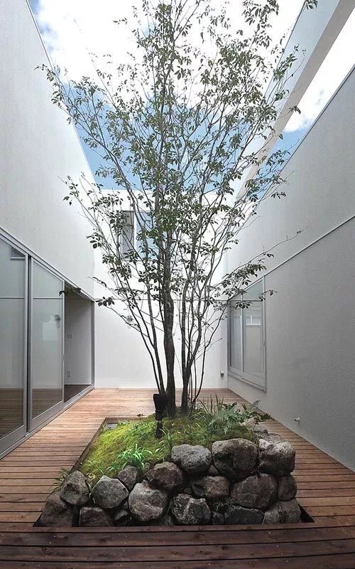 有禅意的天井,景观中的天井