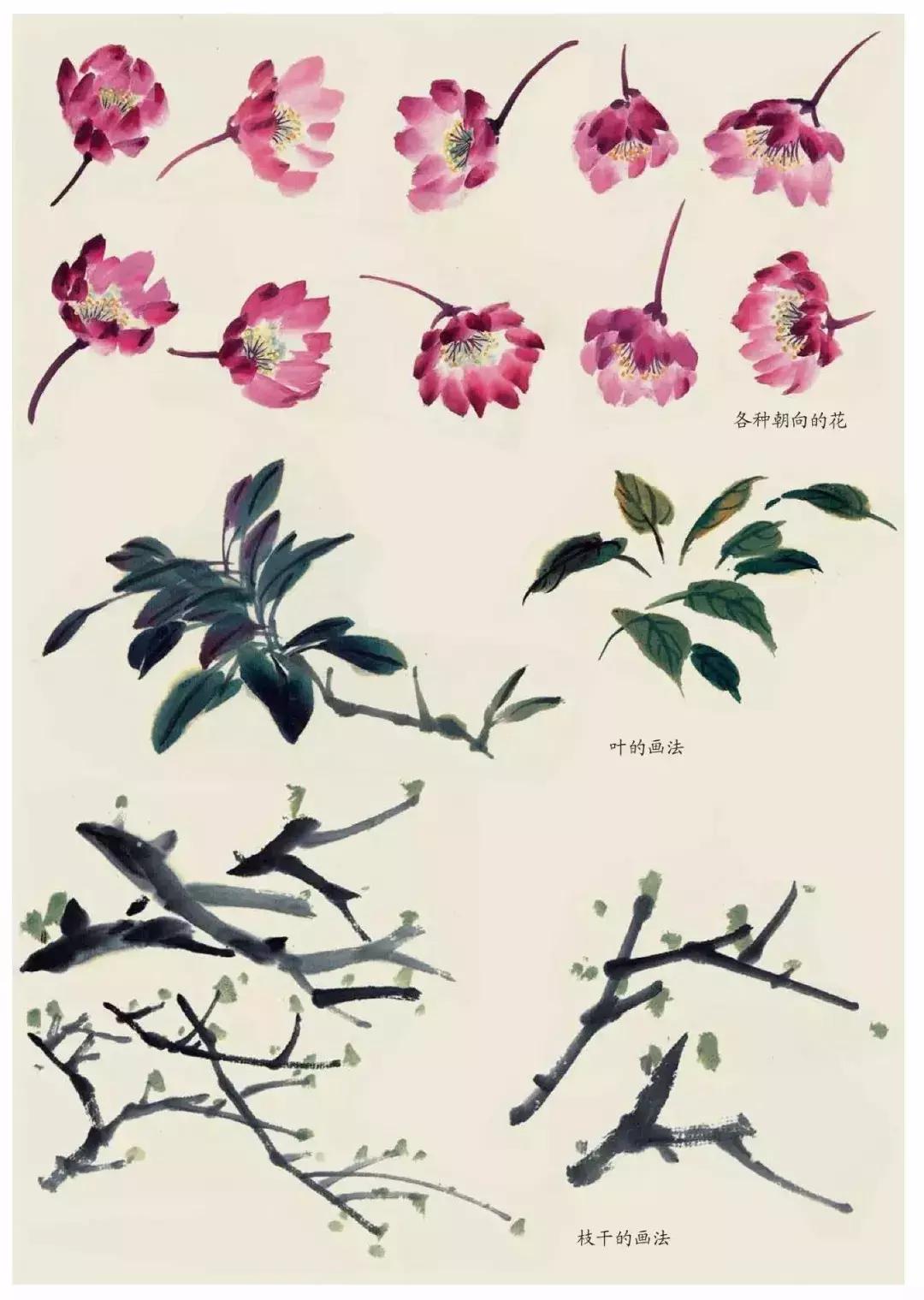国画中各种花卉的画法,国画花卉画法步骤视频教程