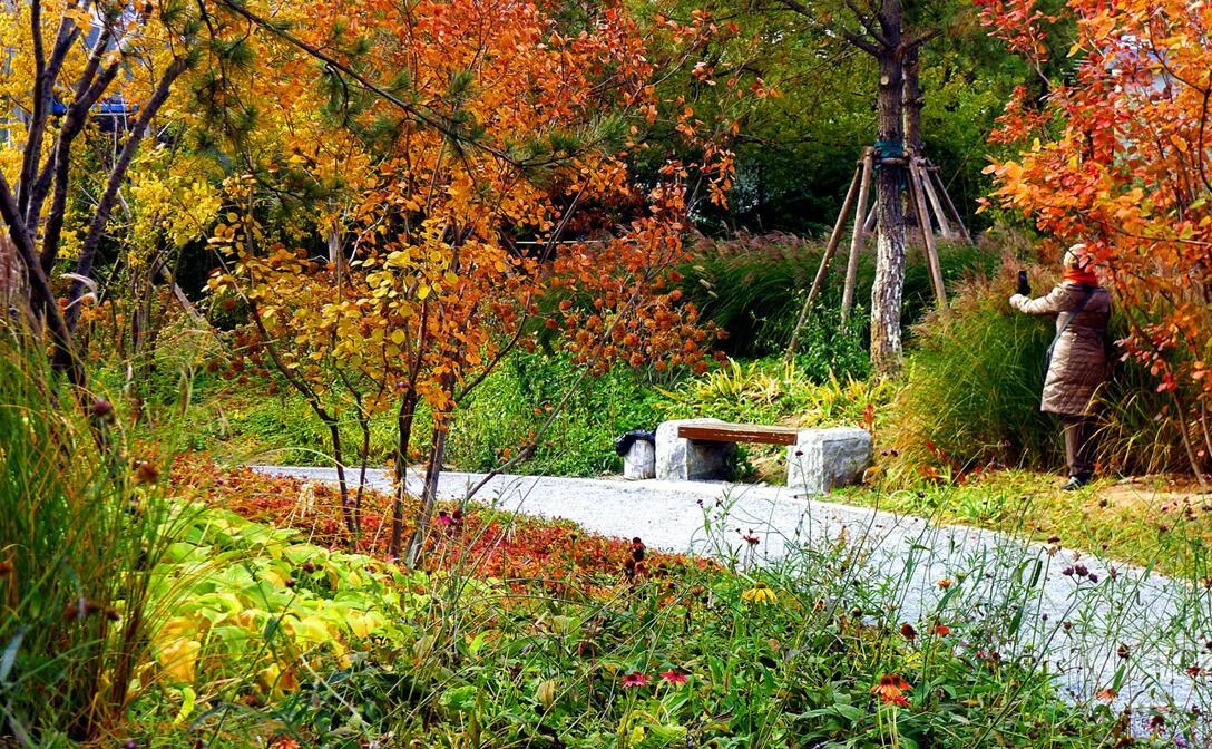 北京市国家级森林公园有哪些,北京市新街口城市森林公园