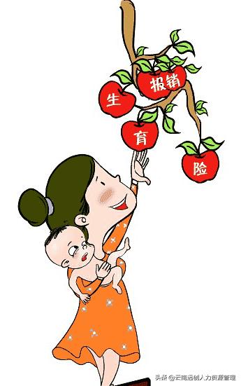 广州生育保险报销范围和标准,河北生育保险报销范围和标准