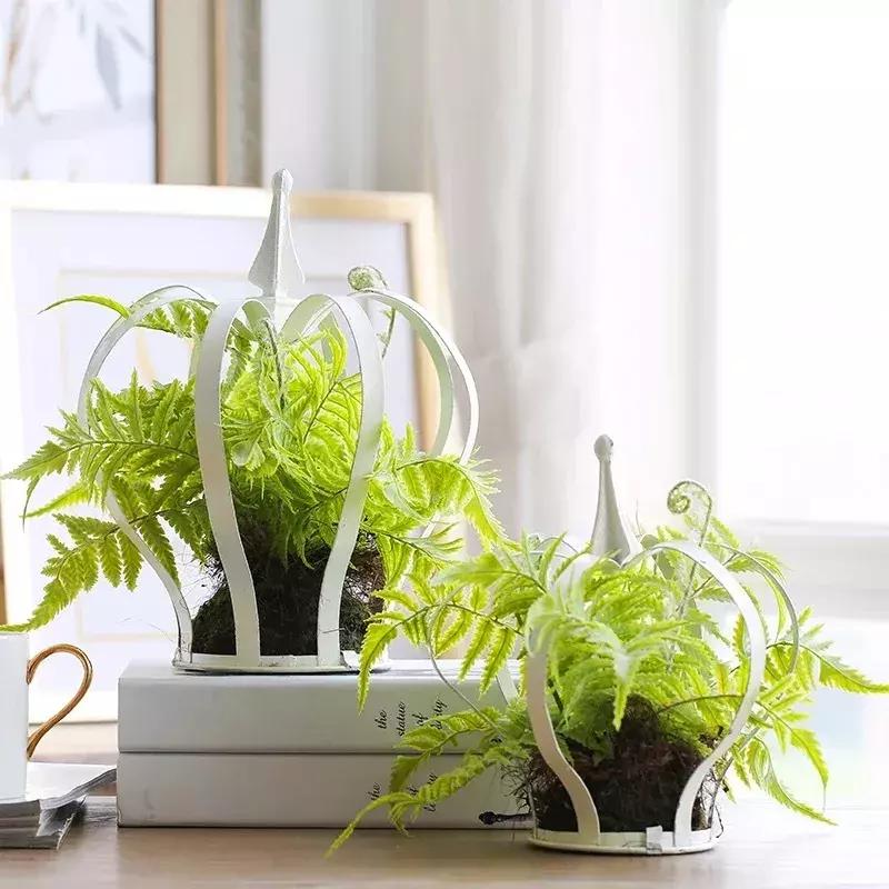 可爱又迷人的绿色植物,仿真绿色植物图片大全