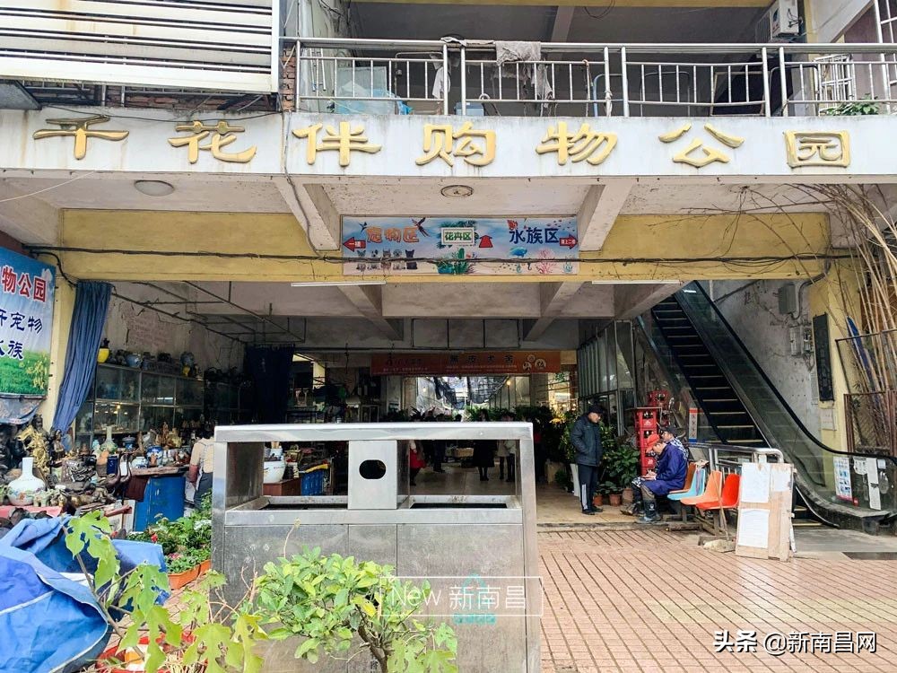 南昌花市有哪些地方,南昌花市批发市场