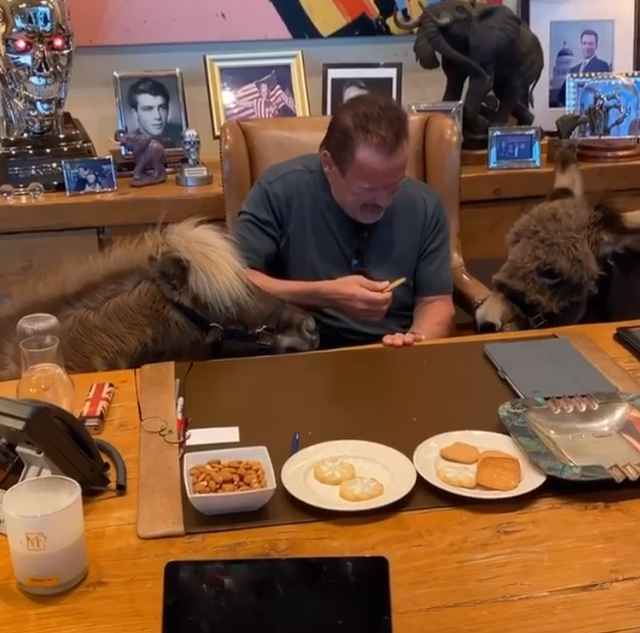 娆х編鏄庢槦鎶楀嚮鐤儏,鍚庤鐢峰闅旂┖閲嶈仛