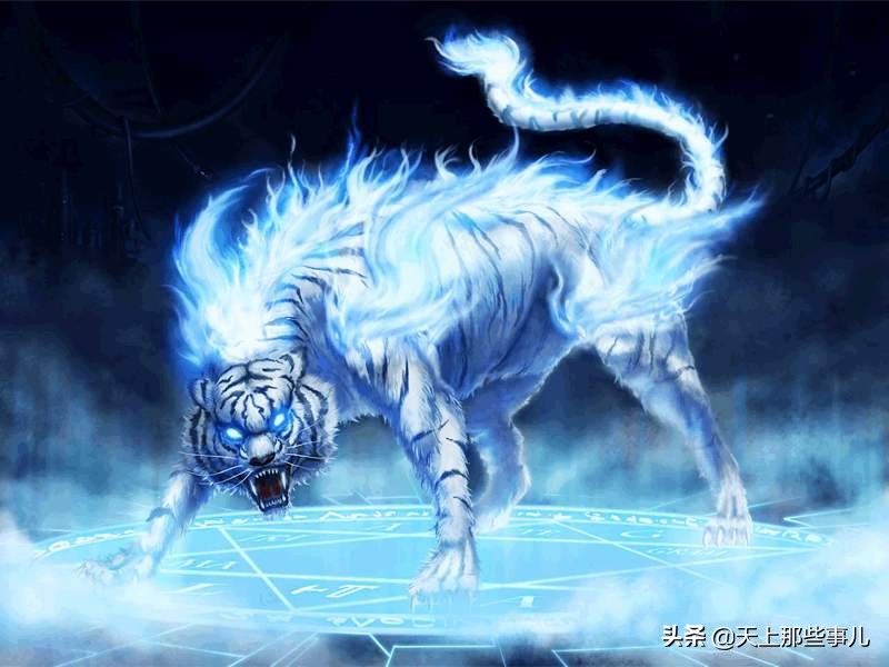 四大神兽和四大灵兽排名榜,四大凶兽四大灵兽四大邪兽