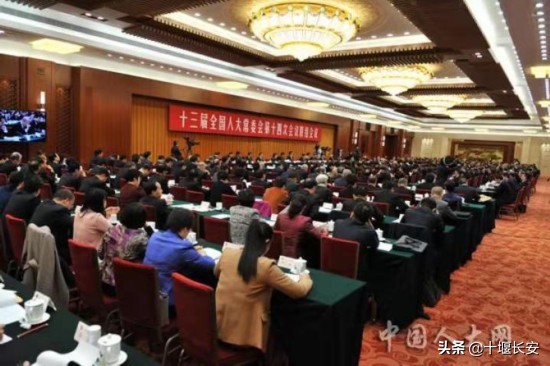 公益诉讼检察工作专题询问:保护公共利益不受侵犯