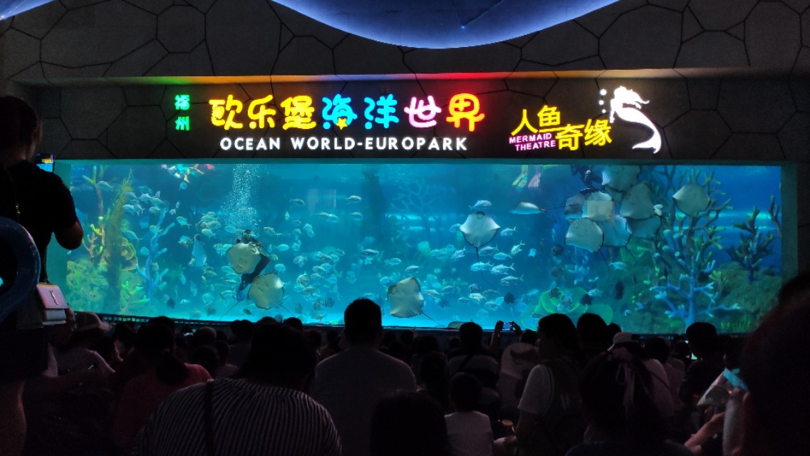 福州欧乐堡海洋世界家庭套票团购,福州欧乐堡海洋世界门票价格
