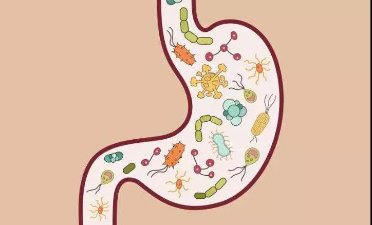 为什么爽身粉致癌,爽身粉致癌案