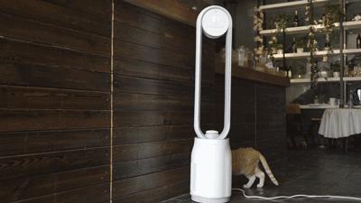 戴森无叶扇凉快吗,戴森无叶风扇怎么吹凉快