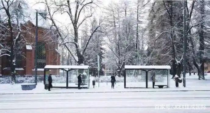 全球最富裕的五国用户，都在Wish豪掷千金买什么？