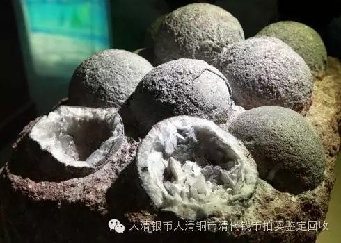 2020单枚恐龙蛋化石价格,恐龙蛋化石鉴定与收购