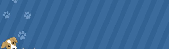 猫咪感觉鼻子不通气要不要吃药,猫咪鼻子有问题会出现什么症状