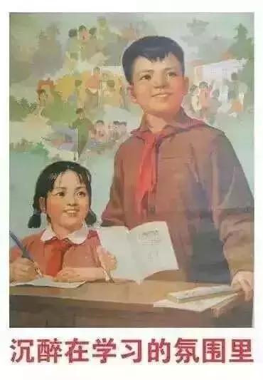 怎样茶宠越养越漂亮,怎样饲养茶宠