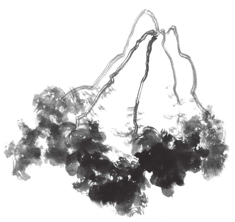 国画刘存惠荷花画法全视频,国画山水画教学视频荷花画法