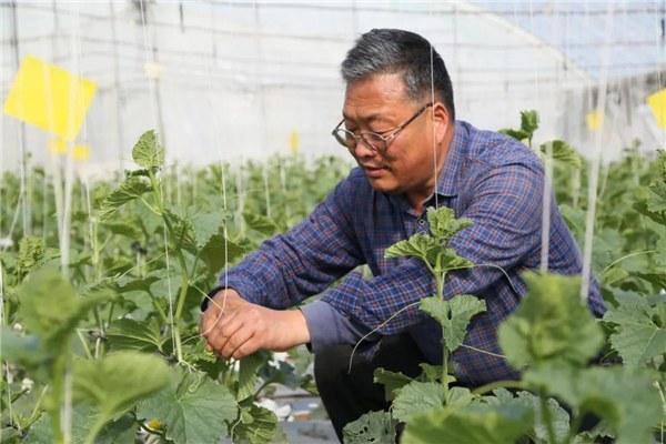 杨凌农业智慧园在哪,杨凌农科智慧