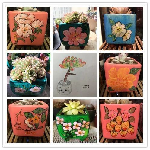 多肉植物生活,多肉生活充满诗意