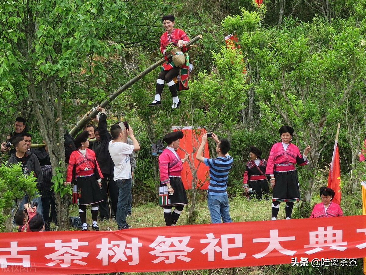 五千亿仓储，七千万炒作！揭秘普洱茶界最有潜力的顶级赛道