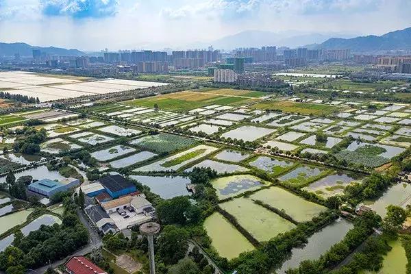 杭州西湖区足球场,富阳的湖