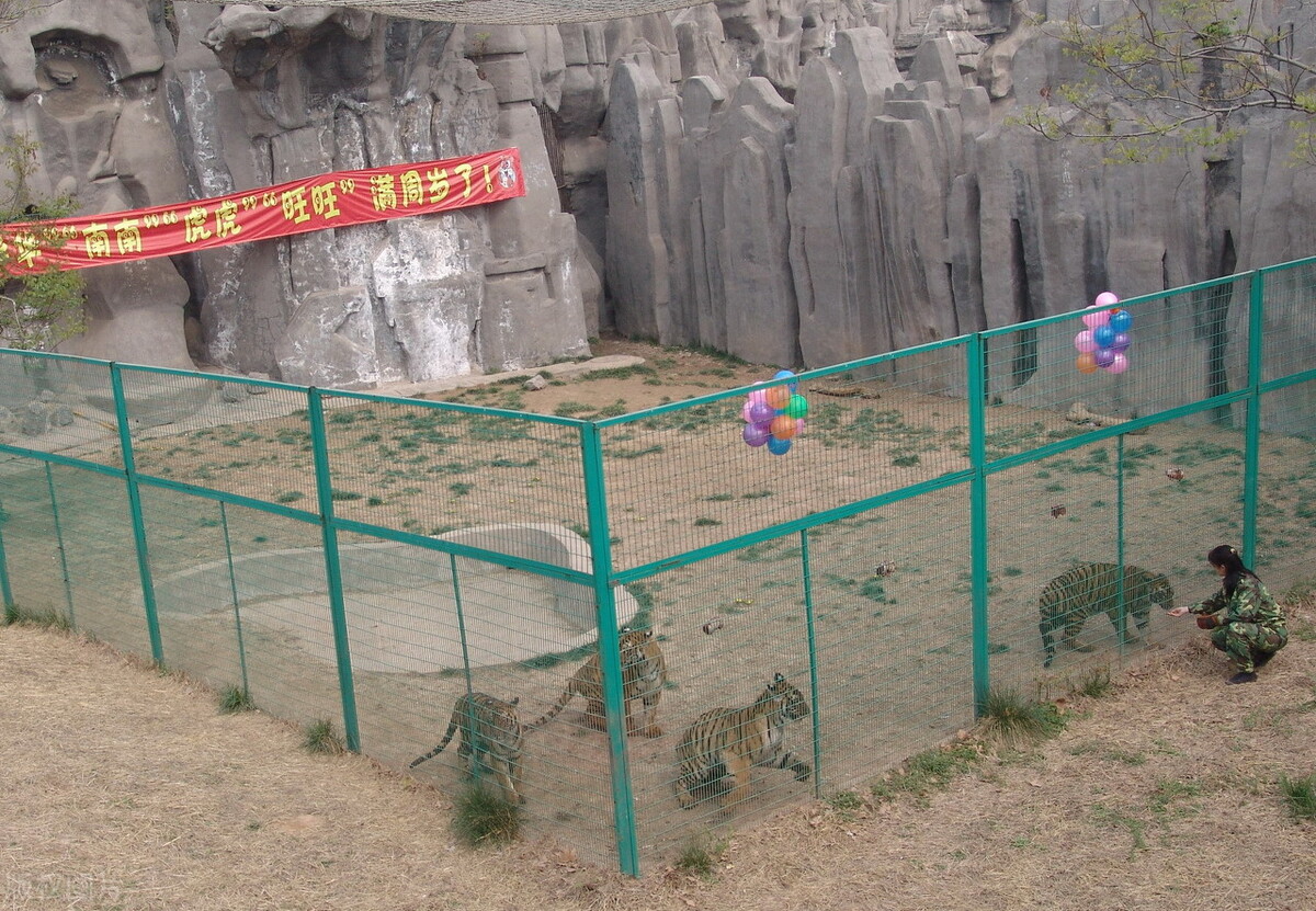 有什么靠谱的赚零花钱的方法,如何才能轻轻松松赚到零花钱