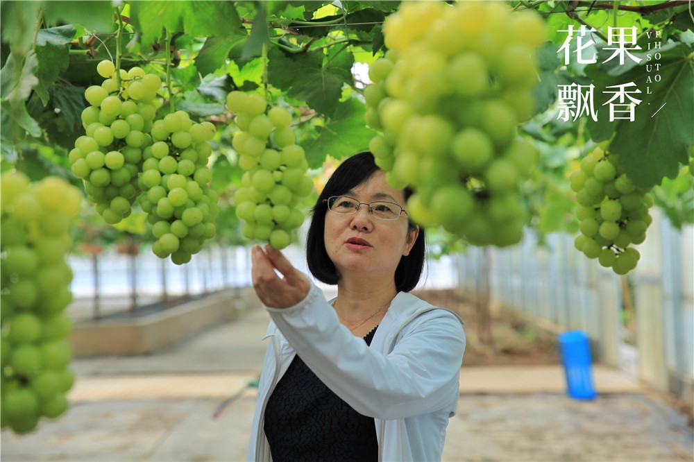 有机农产品的意义,有机的意义