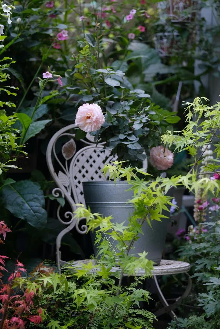 三年前买了套绿地110平三房130万,三年前耗资百万打造小院出售