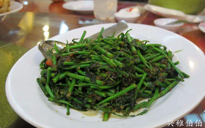 海南哪里适合养老定居,海南哪个市最值得旅游居住