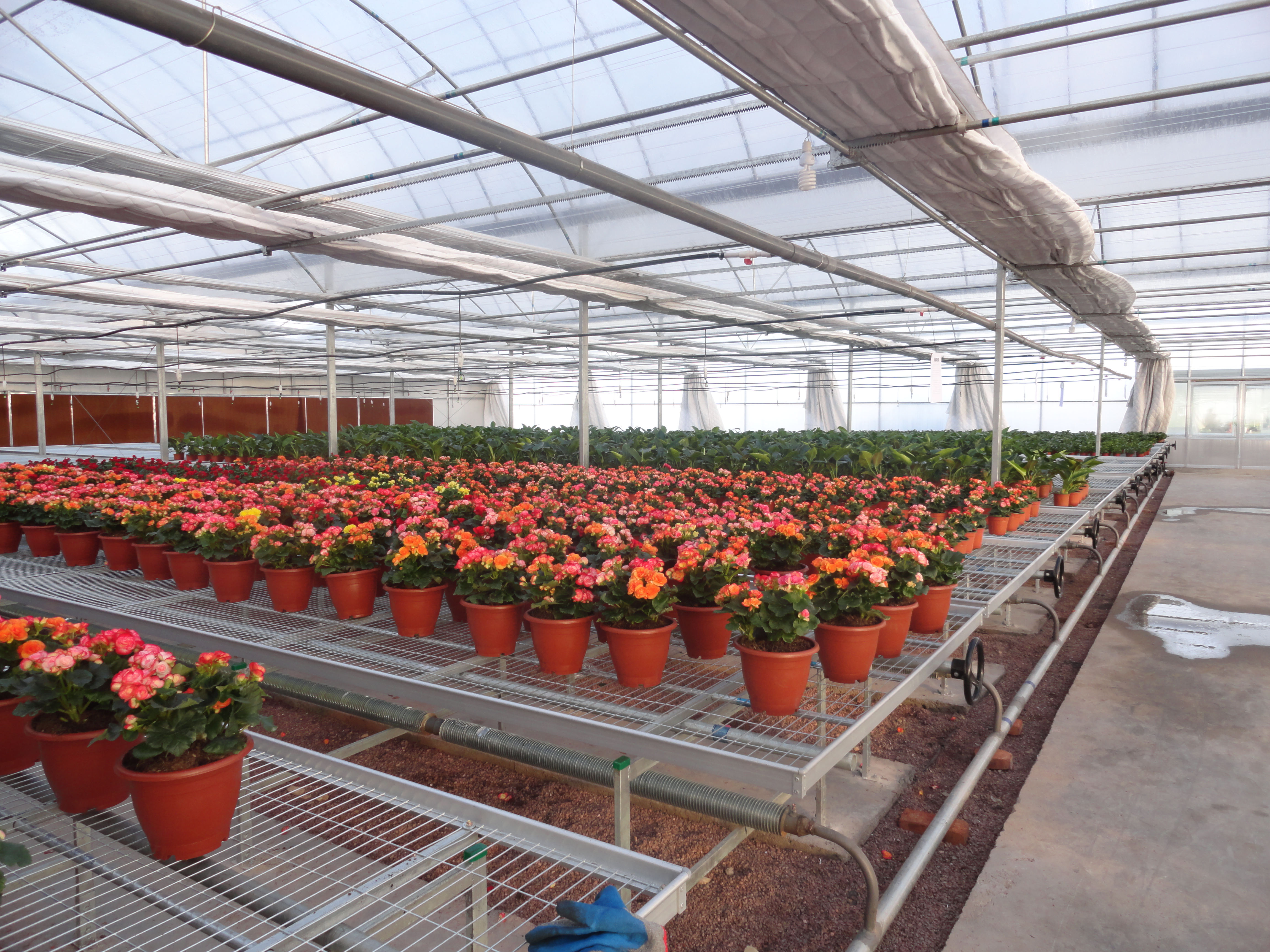 新型大型连栋温室大棚定制,专业生产养殖连栋温室大棚