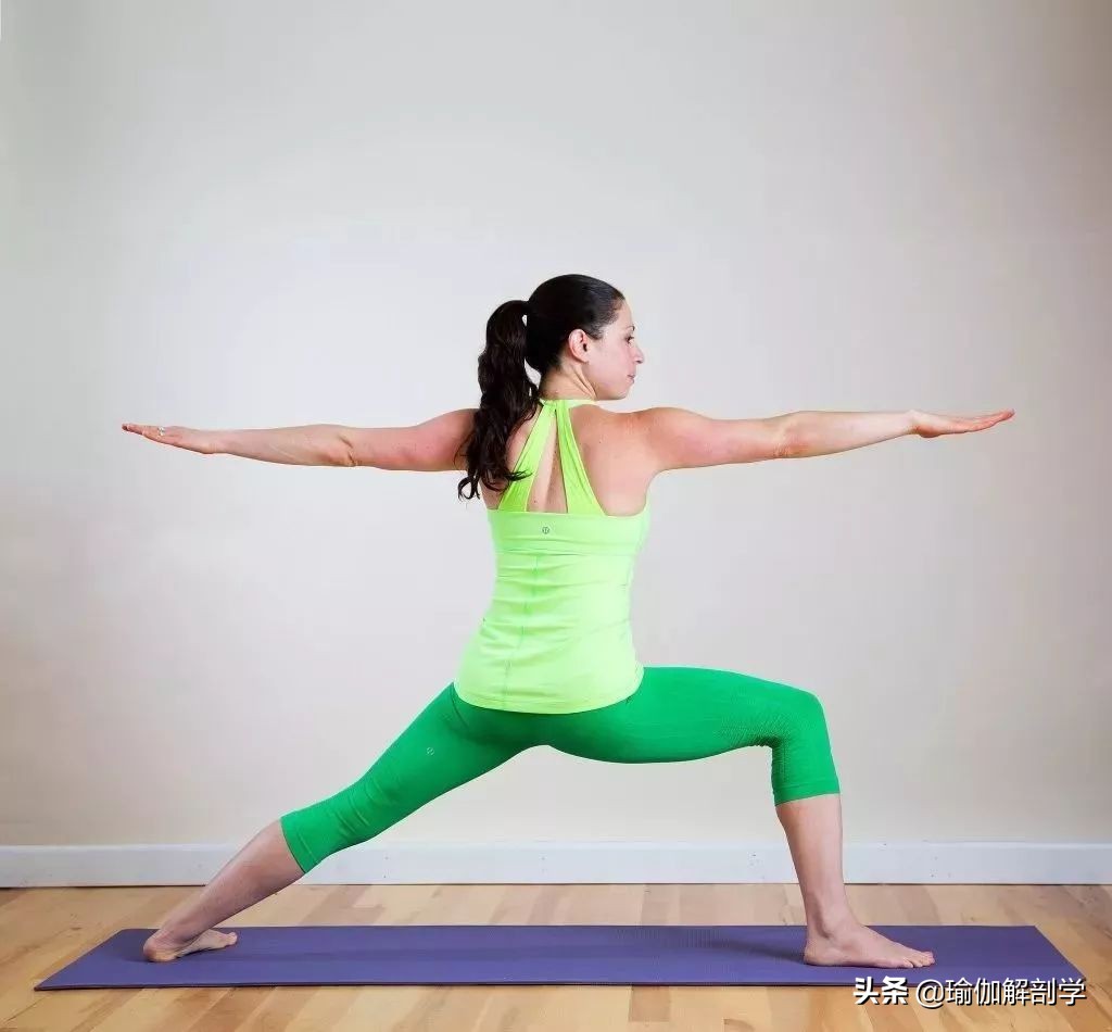 仰卧根基建立的瑜伽体式,瑜伽根基稳定系列体式