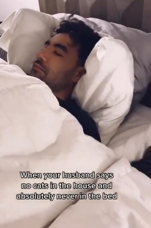 家里不适合养猫了怎么办,家里人不让养猫了但我又舍不得