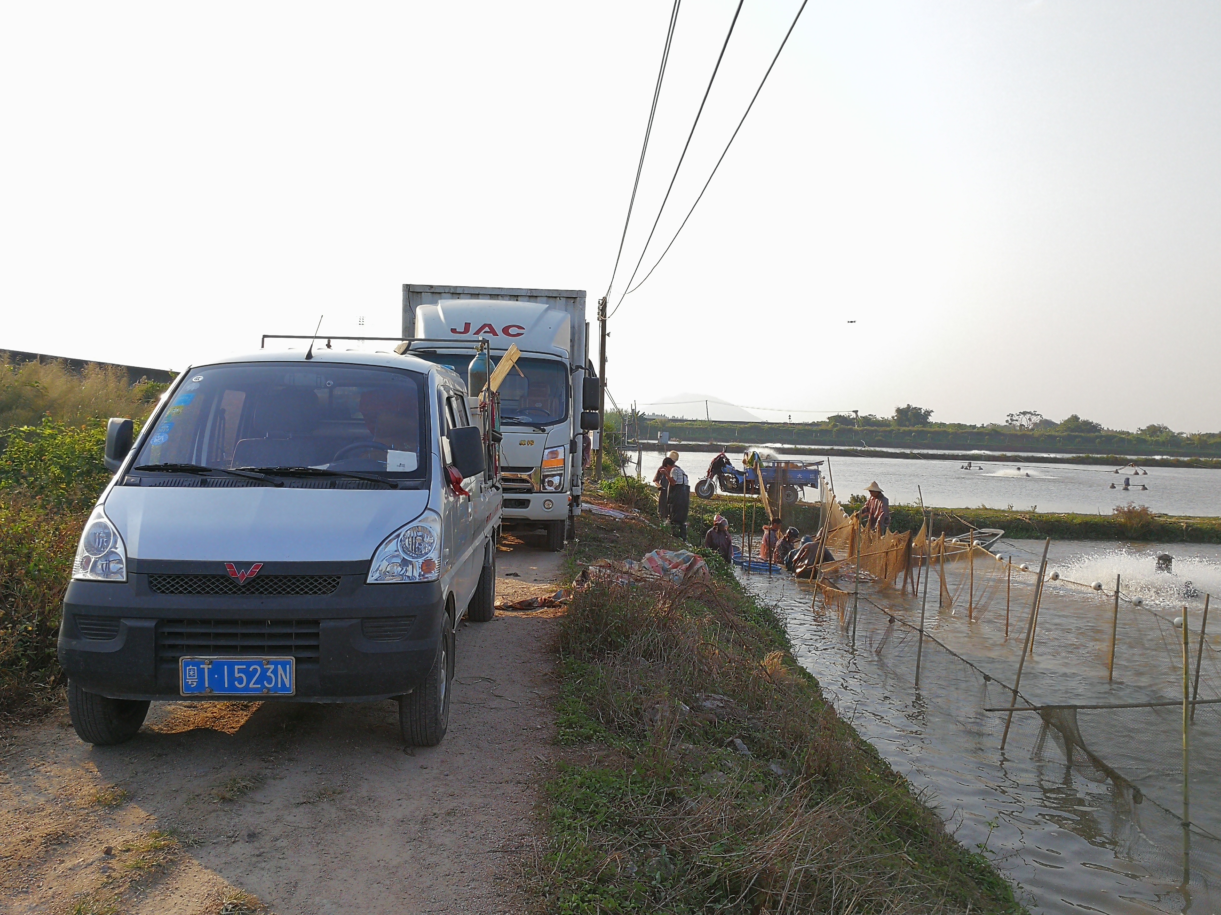 中山刮鱼工时薪50元,养殖场老板抱怨吃不消了