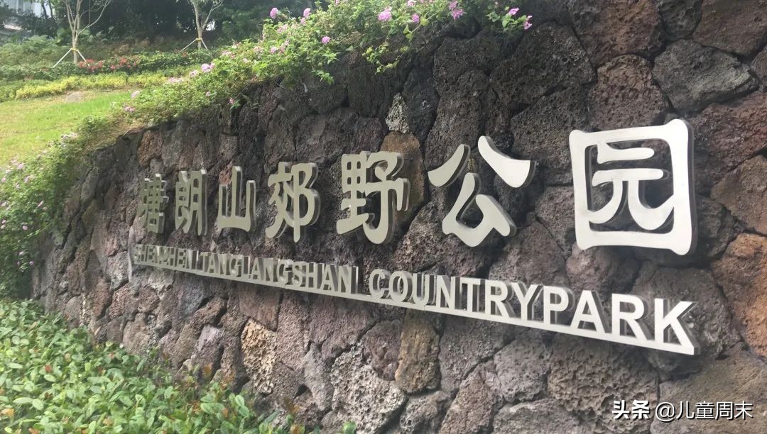 深圳带娃免费旅游推荐,深圳带娃出游景点攻略推荐