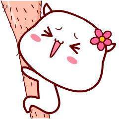 支付宝花花卡套路,支付宝花花卡套路大全