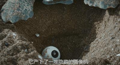 豆瓣9.8分悬疑大片,窥探电视剧豆瓣评分