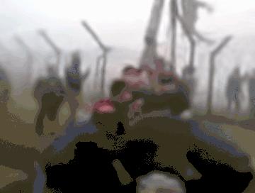 阿三赚钱是真的吗,阿三和奶牛