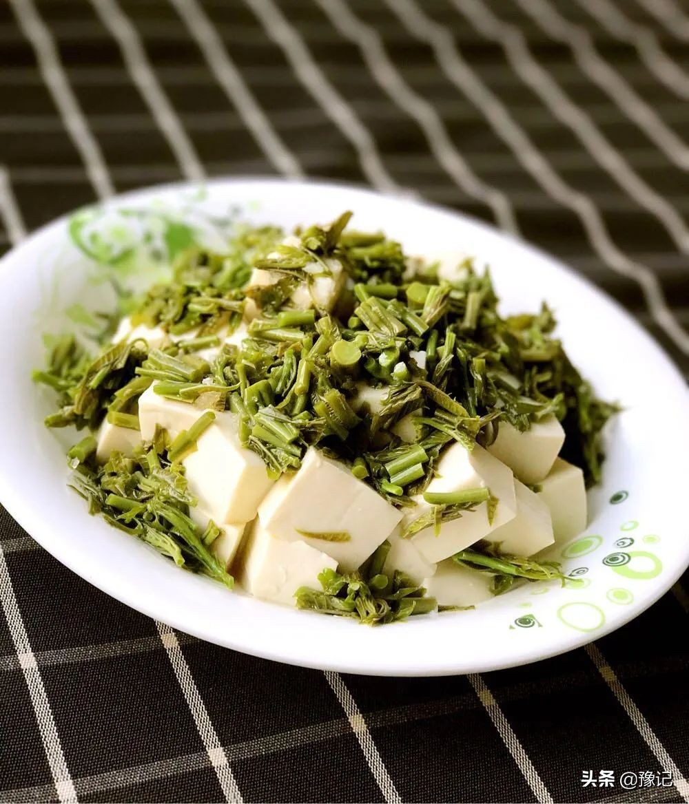 河南豆腐哪里最好吃,在河南吃掉的美食